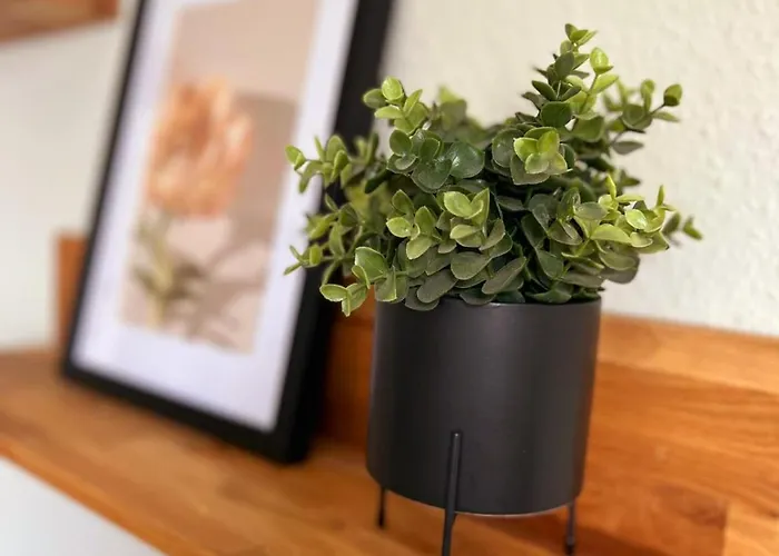 Stillvolle Stadtwohnung Am Klinikum Bielefeld, Zentral Und Mit Parkplatz! Appartement *